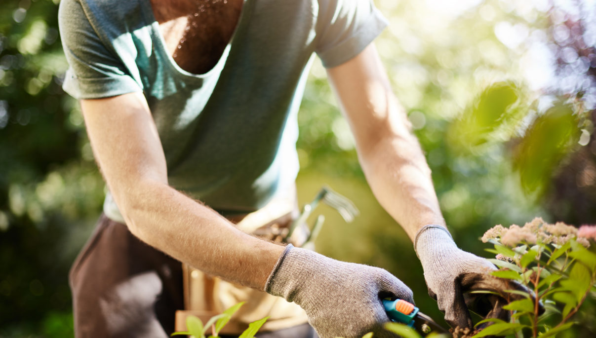 Autumn Gardening Tips