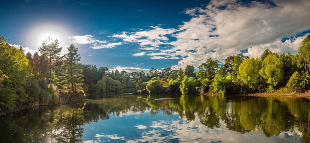 CELEBRATING 30 YEARS OF WILSON BOTANIC PARK